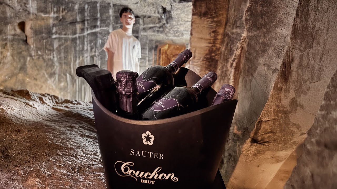 Still from the video Live in the wine cellar at Sauter Wijnen