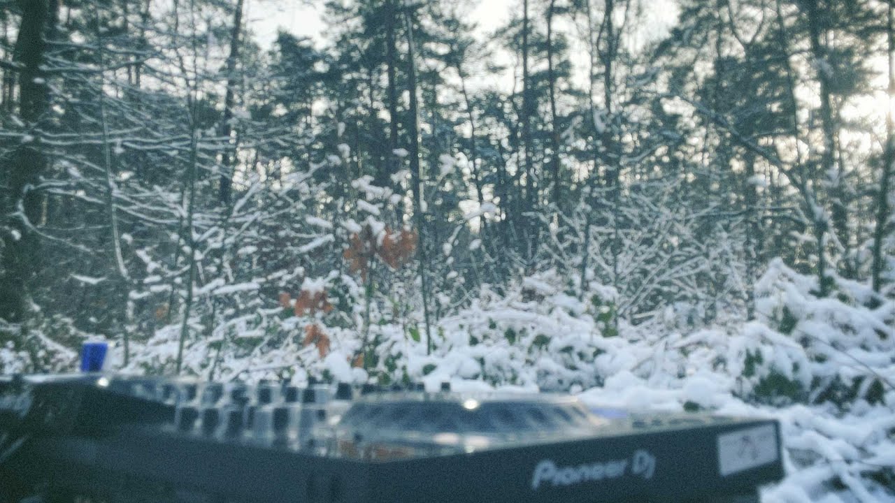 Still from the video Live in the forest, first snow of 2026